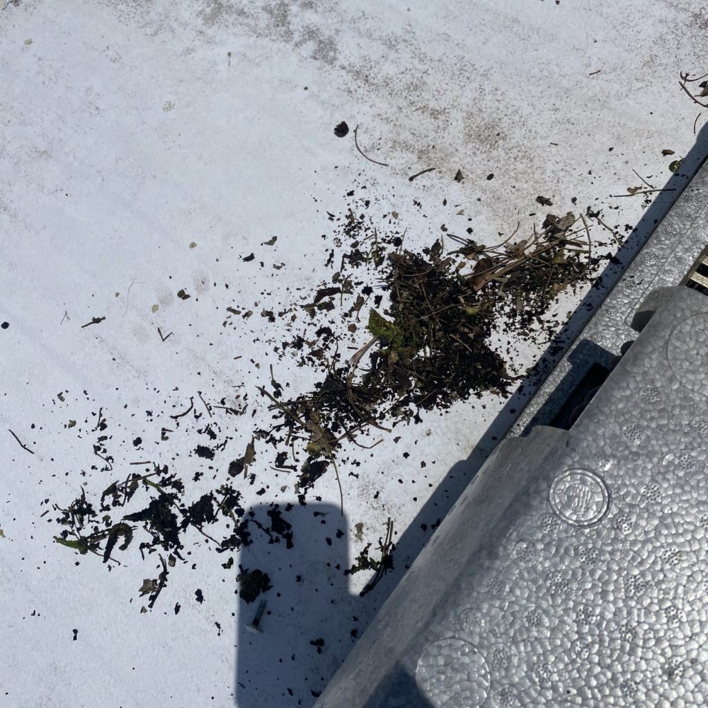 Rubbished pulled out of a RV aircon that had a maintenance performed on it by caravan air conditioning services Rubbished pulled out of a RV aircon that had a maintenance performed on it by caravan air conditioning services
