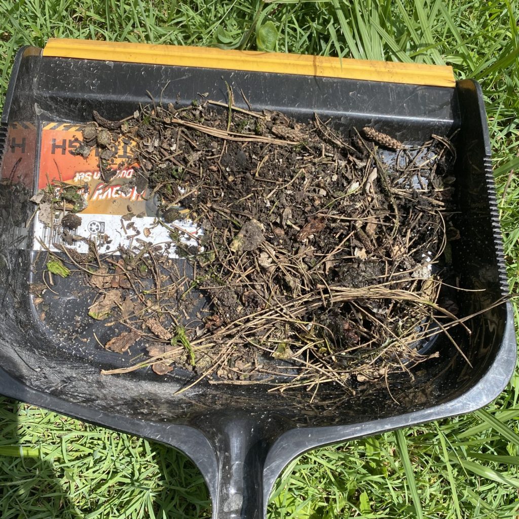 Dirt and sticks pulled out of a Caravan aircon on a clean Dirt and sticks pulled out of a Caravan aircon on a clean